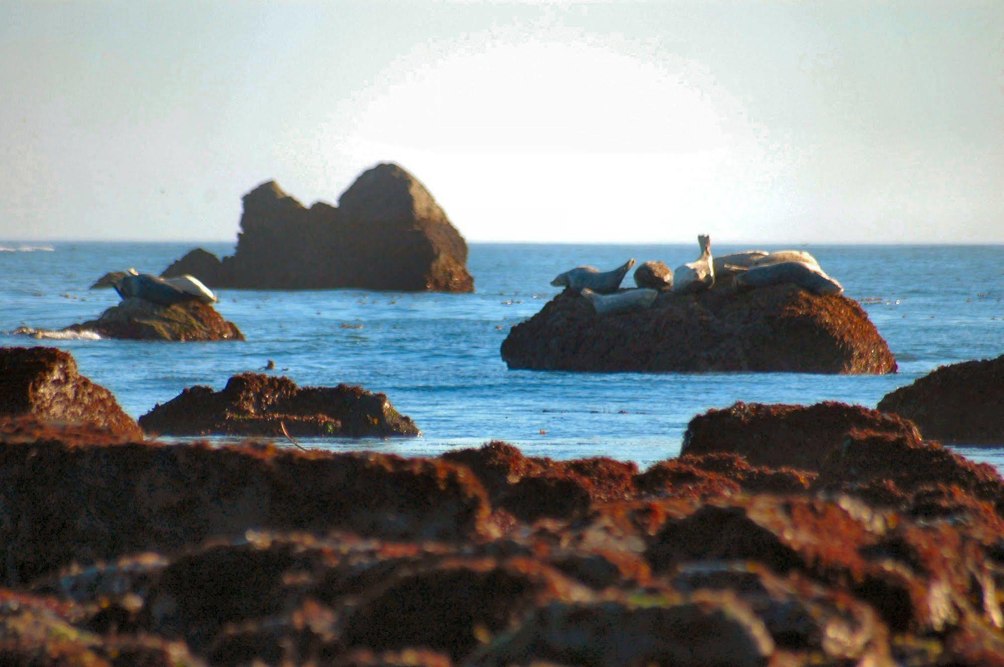 קרסנט סיטי Oceanfront Lodge מראה חיצוני תמונה